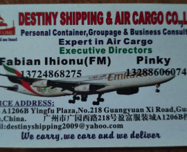 DESTINY SHIPPING $ AIR CARGO CO.LTD